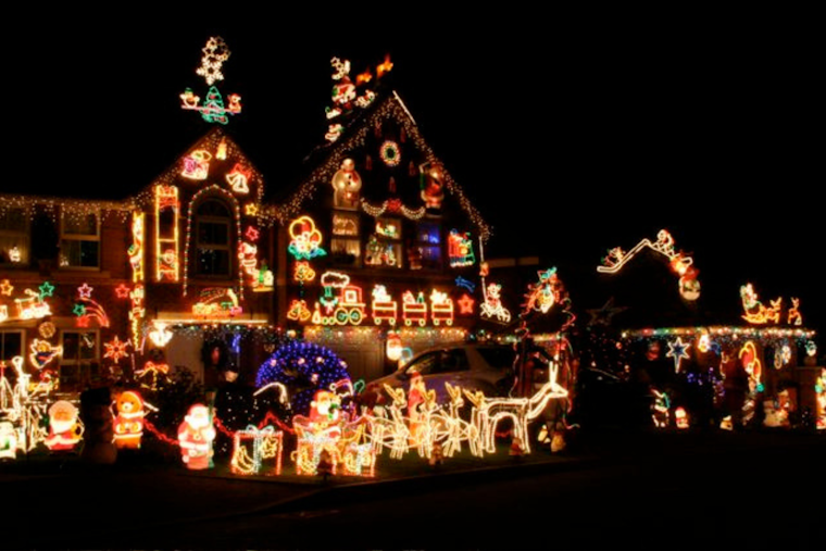 Detroit Zoo Illuminates Winter Nights with 'Wild Lights' Extravaganza Featuring Over 5 Million LEDs
