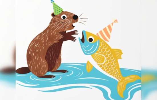 Discover the Majestic Salmon Migration at Seattle's Carkeek Park with Weekend Tours and a Special Salmon Celebration