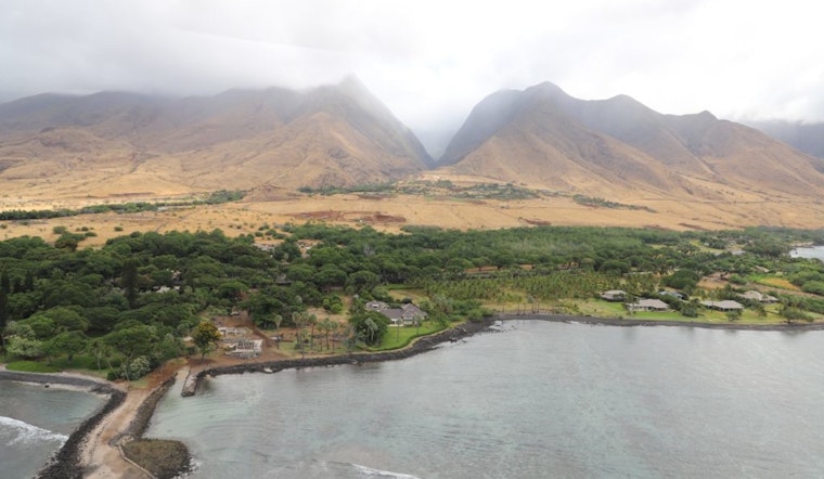 $9.9 Million NOAA Grant Fuels Maui's "Mother Reef" Restoration Effort by TNC and DLNR