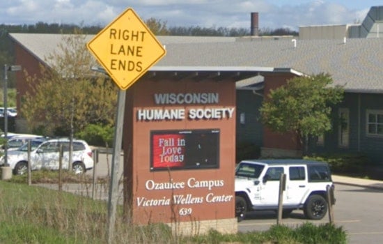 Driver Hospitalized, No Animals Harmed After Vehicle Crashes into Wisconsin Humane Society in Ozaukee County