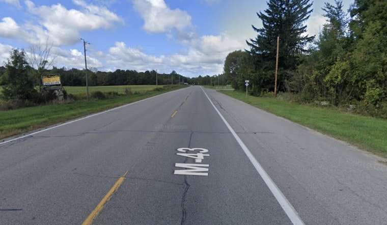 Driver Killed, Another Injured as Deer Collision Leads to Fatal Crash on M-43 Near Bangor