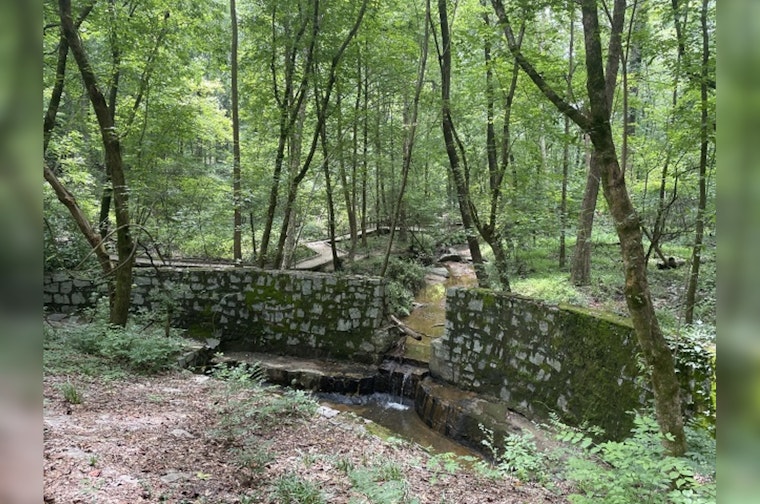 Dunwoody Nature Center Set for Transformation with Stream Restoration and New ADA Compliant Boardwalk