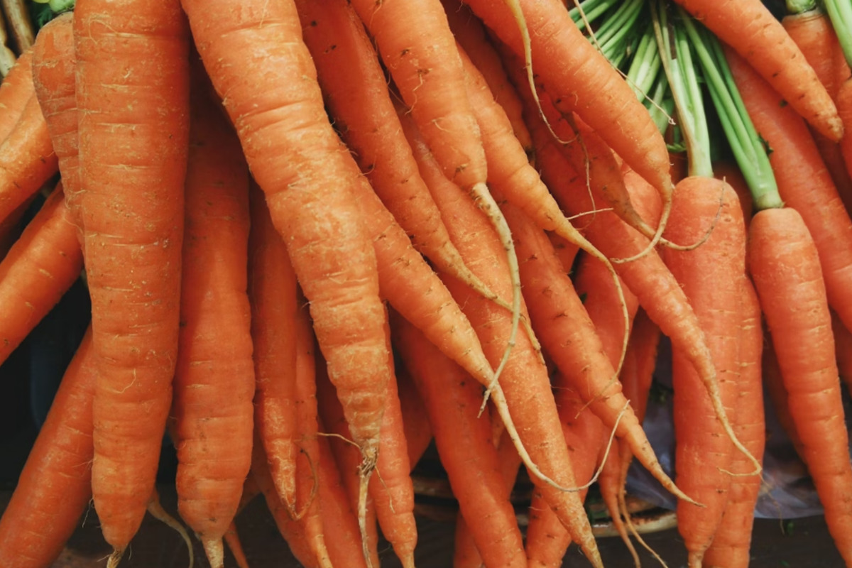 E. Coli Terror Strikes: Deadly Outbreak From Organic Carrots Sparks