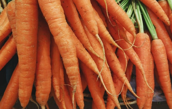 E. coli Terror Strikes: Deadly Outbreak from Organic Carrots Sparks Mega Recall at Publix, Whole Foods, Trader Joe's