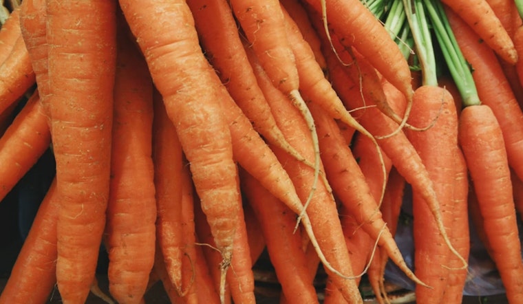 E. coli Terror Strikes: Deadly Outbreak from Organic Carrots Sparks Mega Recall at Publix, Whole Foods, Trader Joe's