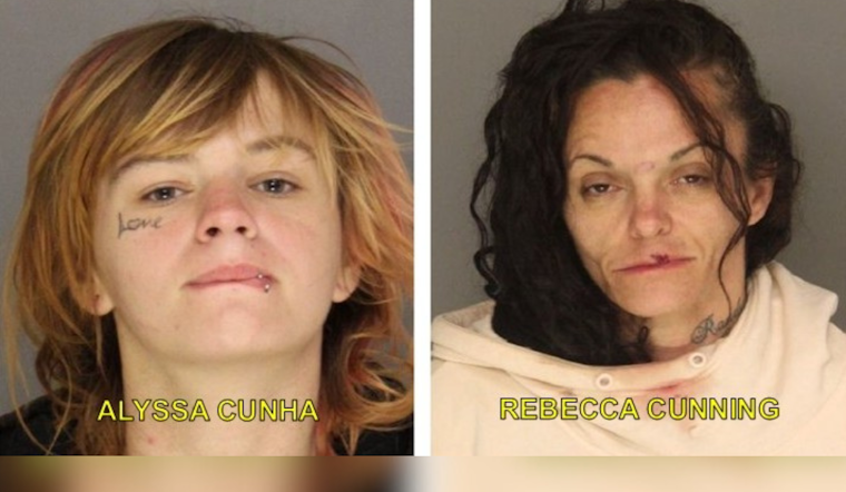 East McKeesport and McKeesport Women Face New Charges After Escaping From Constable's Car in Allegheny County