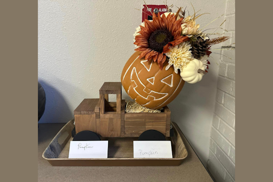 Ellis County Sheriff's Office Gets Crafty with Pumpkin Decoration Contest