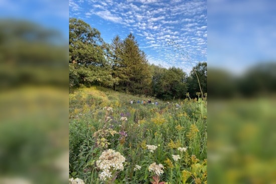 Eloise Butler Wildflower Garden and Bird Sanctuary Receives Over $95K from Friends of the Wildflower Garden for New Fencing