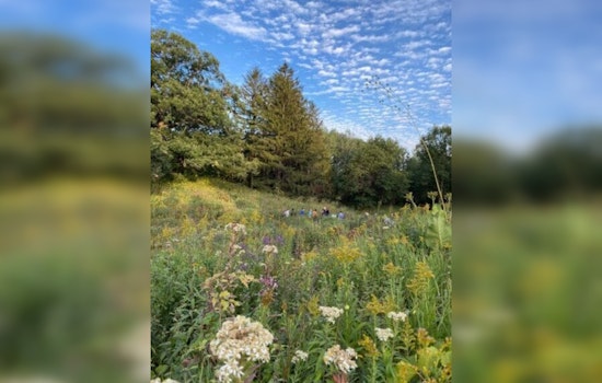 Eloise Butler Wildflower Garden and Bird Sanctuary Receives Over $95K from Friends of the Wildflower Garden for New Fencing