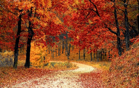 Embrace Autumn with Free Outdoor Qigong at Cleary Lake Regional Park