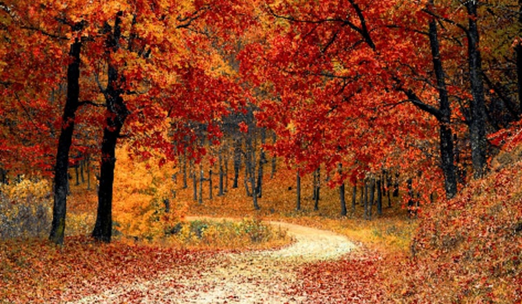 Embrace Autumn with Free Outdoor Qigong at Cleary Lake Regional Park