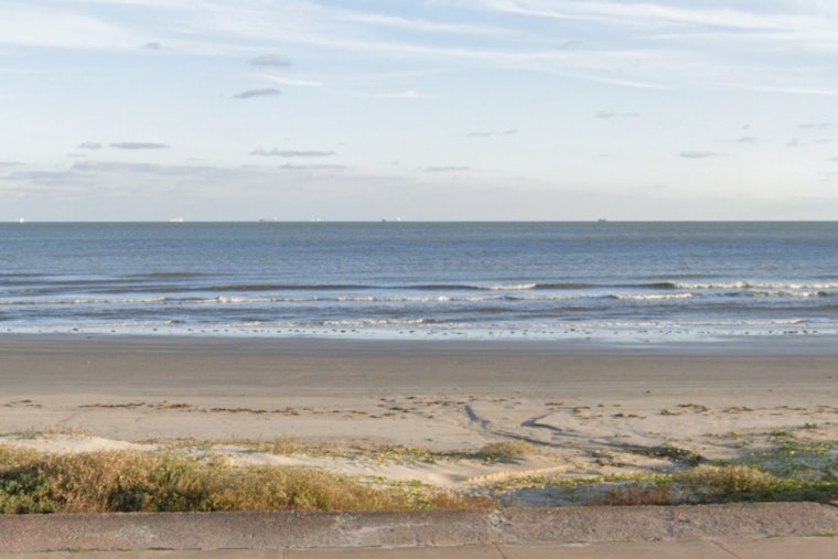 Endangered Kemp’s Ridley Sea Turtle Returns to Galveston After International Rescue and Rehabilitation