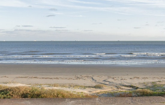Endangered Kemp’s Ridley Sea Turtle Returns to Galveston After International Rescue and Rehabilitation