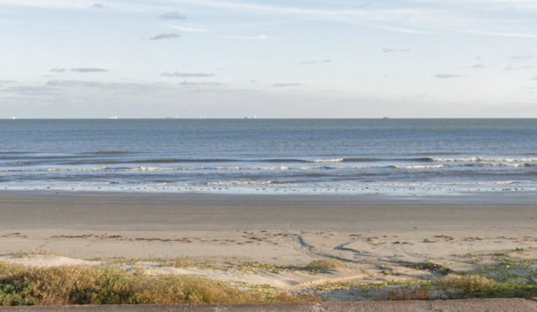 Endangered Kemp’s Ridley Sea Turtle Returns to Galveston After International Rescue and Rehabilitation