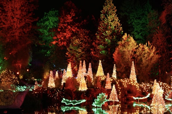 ENLIGHTEN Holiday Spectacle to Dazzle at Frederik Meijer Gardens with Interactive Light and Music Displays