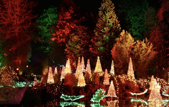 ENLIGHTEN Holiday Spectacle to Dazzle at Frederik Meijer Gardens with Interactive Light and Music Displays