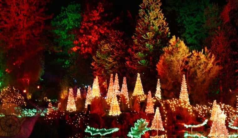 ENLIGHTEN Holiday Spectacle to Dazzle at Frederik Meijer Gardens with Interactive Light and Music Displays