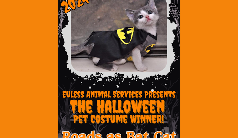 Euless' Own "Bat Cat" Claims Top Prize in Halloween Pet Costume Contest