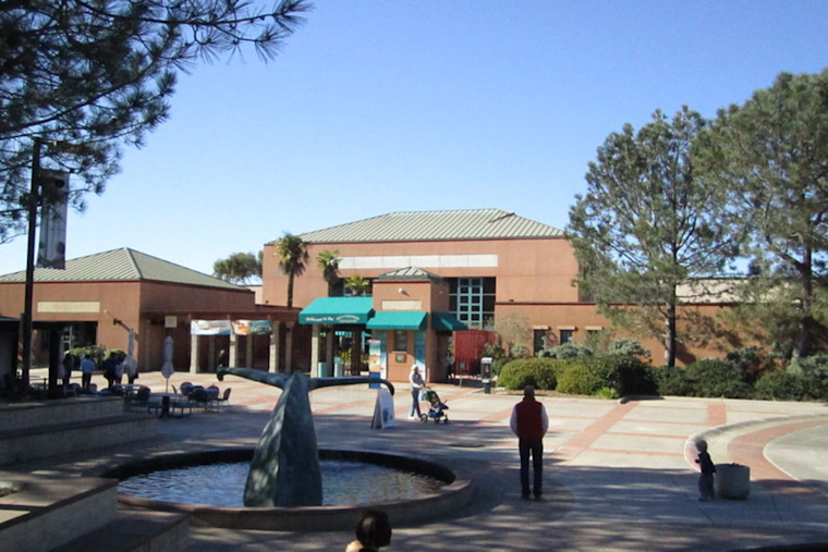 Explore King Tides at Birch Aquarium in UC San Diego with Tidepooling Adventures and Scenic Views
