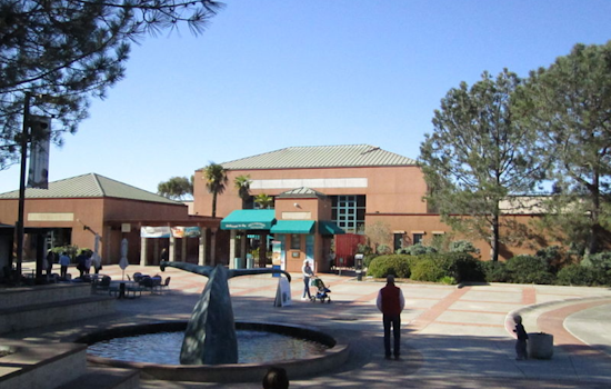 Explore King Tides at Birch Aquarium in UC San Diego with Tidepooling Adventures and Scenic Views