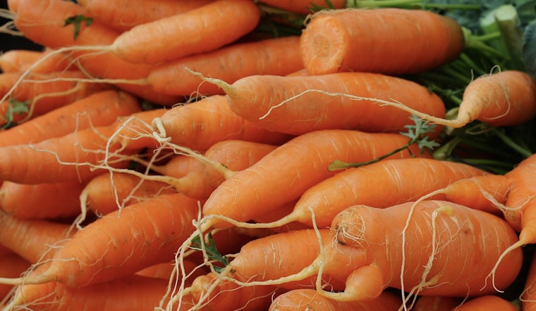 Fatal E. Coli Outbreak Linked to Organic Carrots Sold Nationwide as Consumers Are Warned to Check Fridges