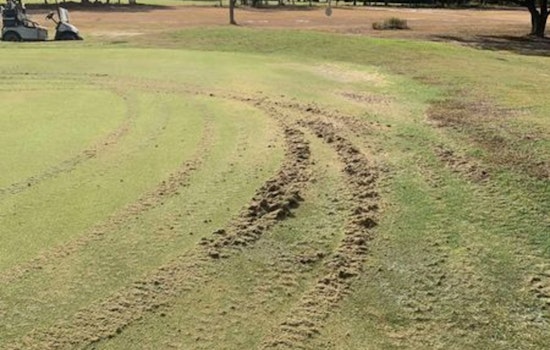 Fayette County Sheriff's Hunt for Vandals After ATV-Fueled Destruction at Flatonia Golf Course