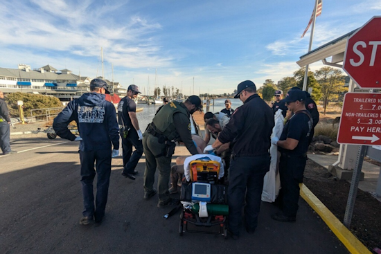 Felony Suspect Arrested After Dramatic Chase Through Sonoma County Ends in Petaluma River