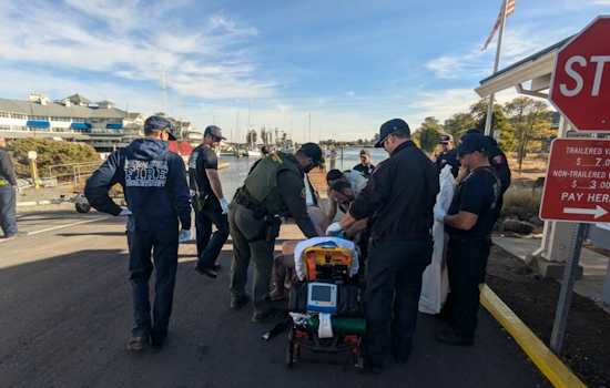 Felony Suspect Arrested After Dramatic Chase Through Sonoma County Ends in Petaluma River