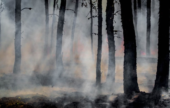 Flame Frenzy in NYC, Firefighters Battle Wildfires Across Manhattan and Queens