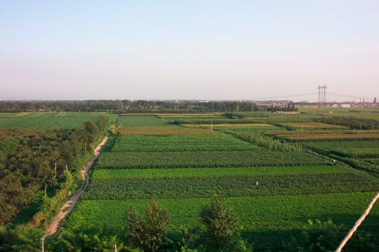 Georgia Senate Committee Proposes Farmland Preservation Strategies to Support State Agriculture
