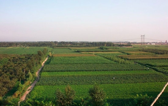 Georgia Senate Committee Proposes Farmland Preservation Strategies to Support State Agriculture