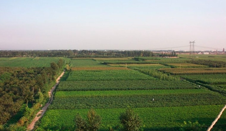 Georgia Senate Committee Proposes Farmland Preservation Strategies to Support State Agriculture