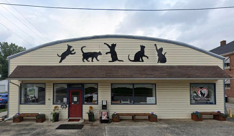Gettysburg Shelter Overwhelmed as Eight Abandoned Cats Found in Sealed Container Amid Freezing Temps