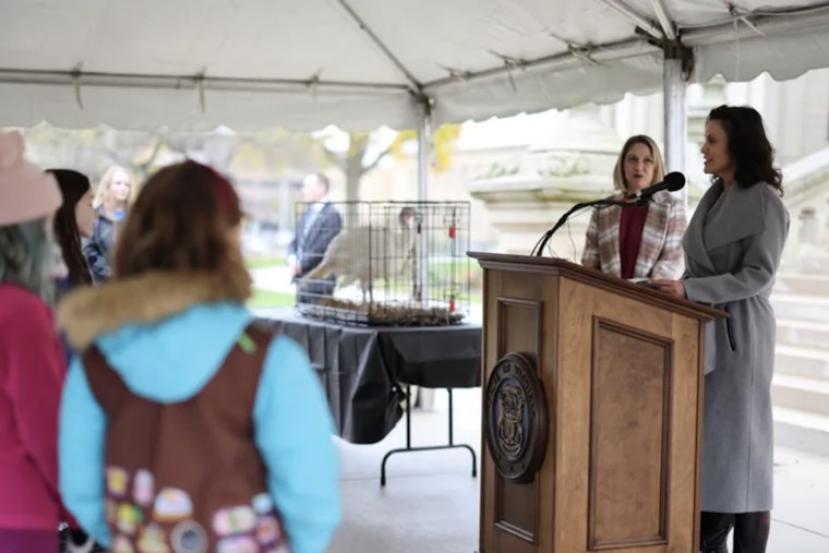 Governor Whitmer Pardons "Aidan Cluckinson" in Nod to Detroit Lions and Michigan Unity for Thanksgiving