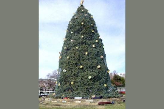 Grand Rapids Welcomes 36-Foot Christmas Tree from Indian Trails Golf Course to Rosa Parks Circle