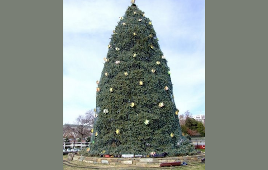 Grand Rapids Welcomes 36-Foot Christmas Tree from Indian Trails Golf Course to Rosa Parks Circle