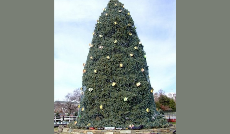 Grand Rapids Welcomes 36-Foot Christmas Tree from Indian Trails Golf Course to Rosa Parks Circle