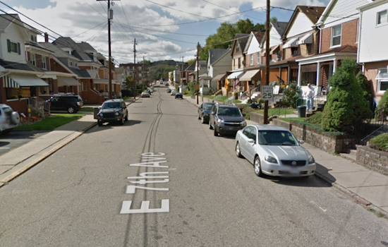 Halloween Night Dog Attack in Tarentum Leads to Hospitalizations and Police Action