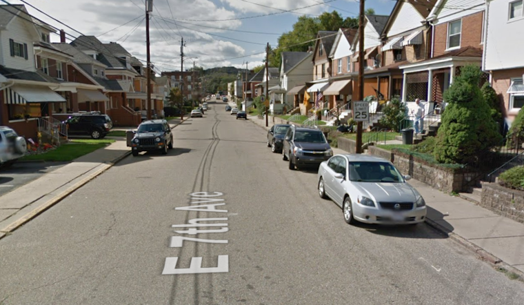 Halloween Night Dog Attack in Tarentum Leads to Hospitalizations and Police Action