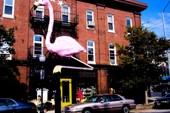 Hampden's Culinary Scene Expands with The Duchess, Grand Opening to Benefit Baltimore Babies
