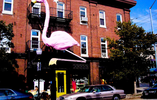 Hampden's Culinary Scene Expands with The Duchess, Grand Opening to Benefit Baltimore Babies