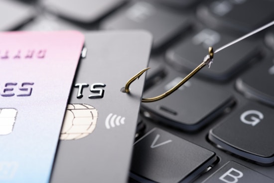 Harris County Attorney Targets Home Scammers, Launches Educational Site Amidst Case of Retired Houston Teacher's Deception