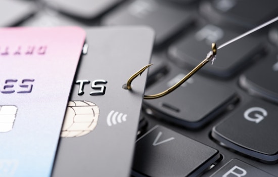 Harris County Attorney Targets Home Scammers, Launches Educational Site Amidst Case of Retired Houston Teacher's Deception