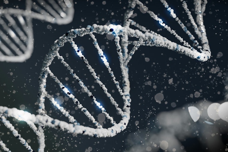 Harvard Scientists Pioneer HACE, a New Technique for Targeted Gene Mutation in Human Cells