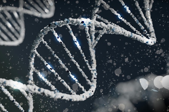 Harvard Scientists Pioneer HACE, a New Technique for Targeted Gene Mutation in Human Cells