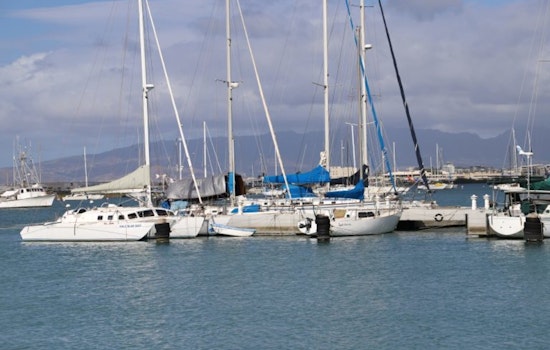 Hawai‘i Authorities Seek Leads After Series of Violent Cat Deaths at Ke‘ehi Boat Harbor
