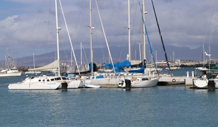 Hawai‘i Authorities Seek Leads After Series of Violent Cat Deaths at Ke‘ehi Boat Harbor
