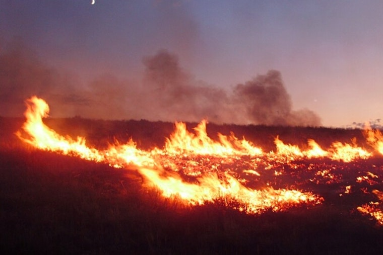 Hawaii on High Alert as Acting Governor Sylvia Luke Issues Emergency Proclamation Amid Wildfire Risks
