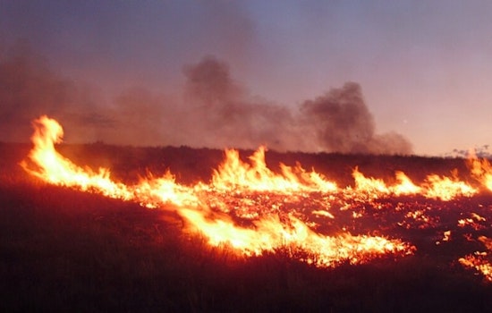 Hawaii on High Alert as Acting Governor Sylvia Luke Issues Emergency Proclamation Amid Wildfire Risks