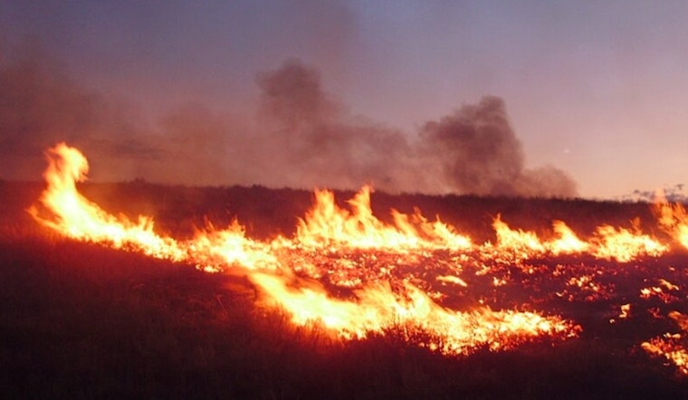 Hawaii on High Alert as Acting Governor Sylvia Luke Issues Emergency Proclamation Amid Wildfire Risks